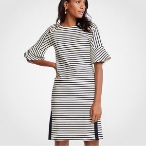 Ann Taylor Women’s Striped Fluted Sleeve Shift Dress Size ST